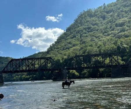 Gibson Girls Horse Hotel, LLC