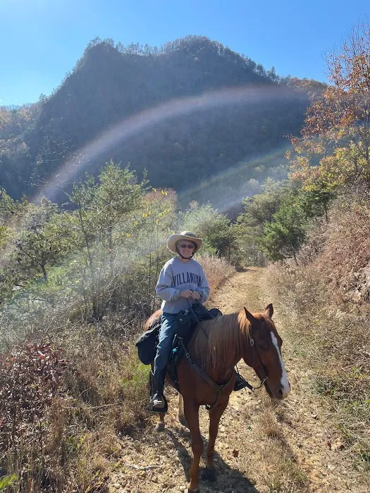 Gibson Girls Horse Hotel, LLC Picture 3