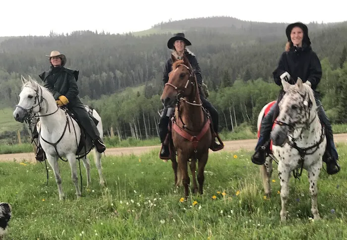 Gibson Girls Horse Hotel, LLC Picture 5