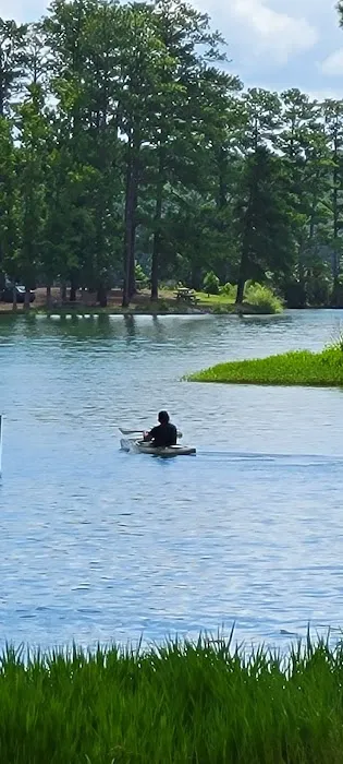 Wind Creek State Park Equestrian Campground Picture 2