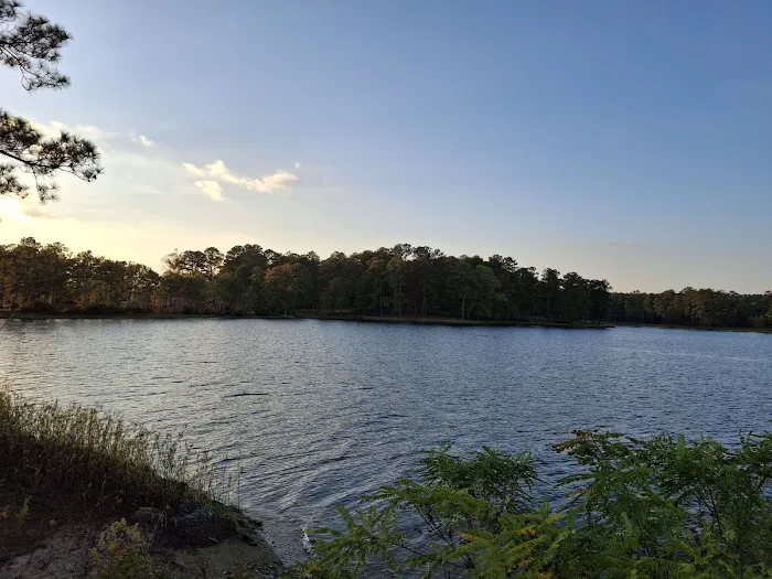 Wind Creek State Park Equestrian Campground Picture 3