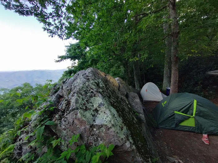 Vandeventer Shelter Picture 2