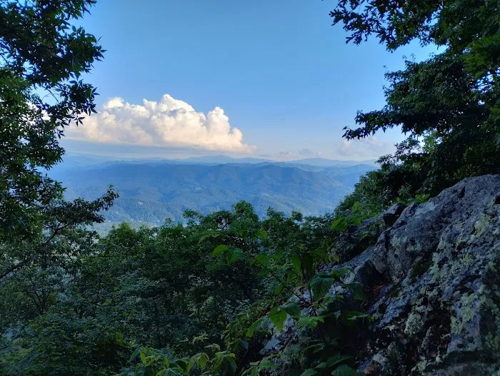 Vandeventer Shelter Picture 3