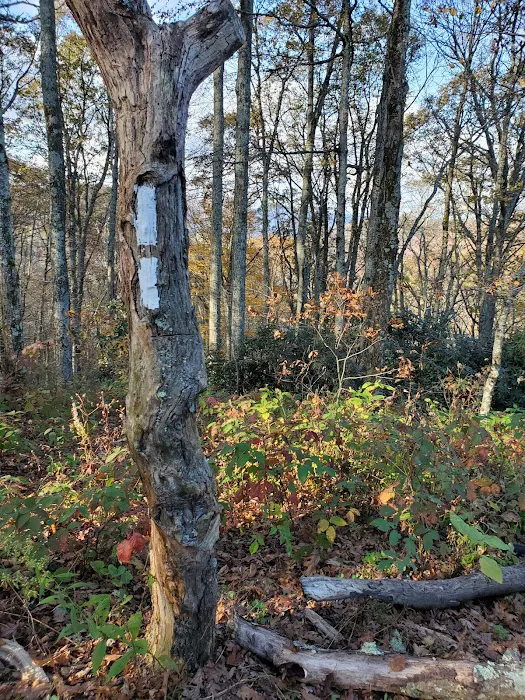 Vandeventer Shelter Picture 9