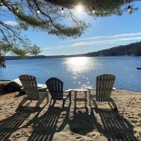 North Shore Woods ico