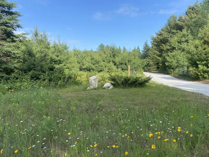 White Rock Campground Picture 3