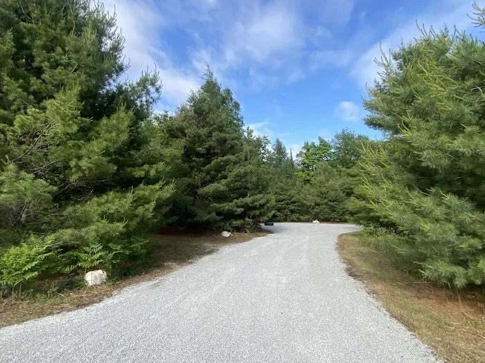 White Rock Campground Picture 2