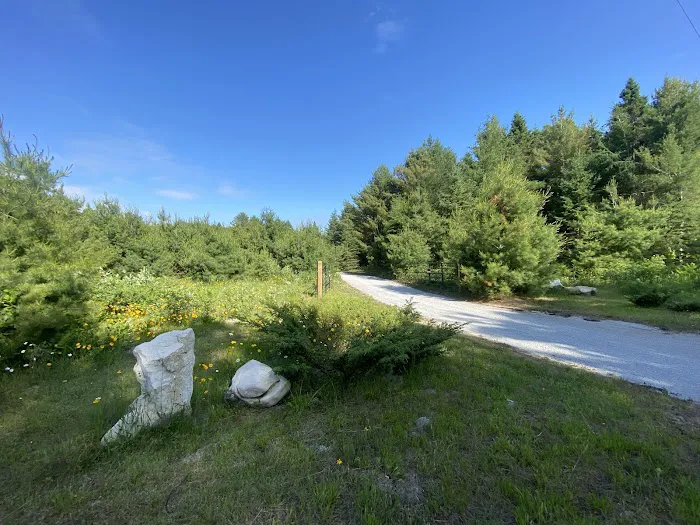 White Rock Campground Picture 1