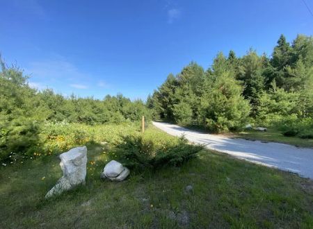 White Rock Campground