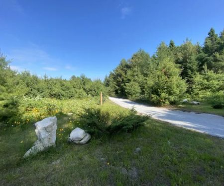 White Rock Campground