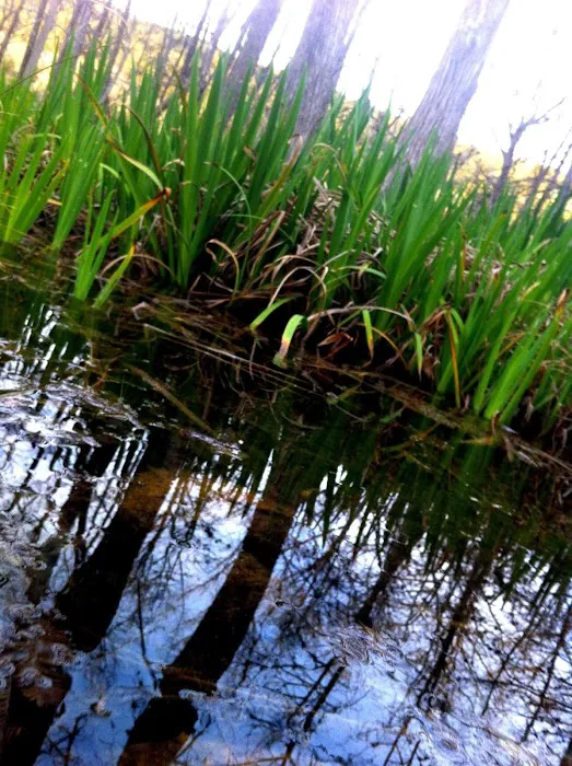 Boy Scouts of America, Bear Creek Scout Reservation Picture 5