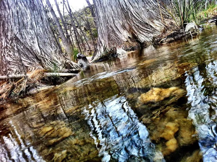 Boy Scouts of America, Bear Creek Scout Reservation Picture 2
