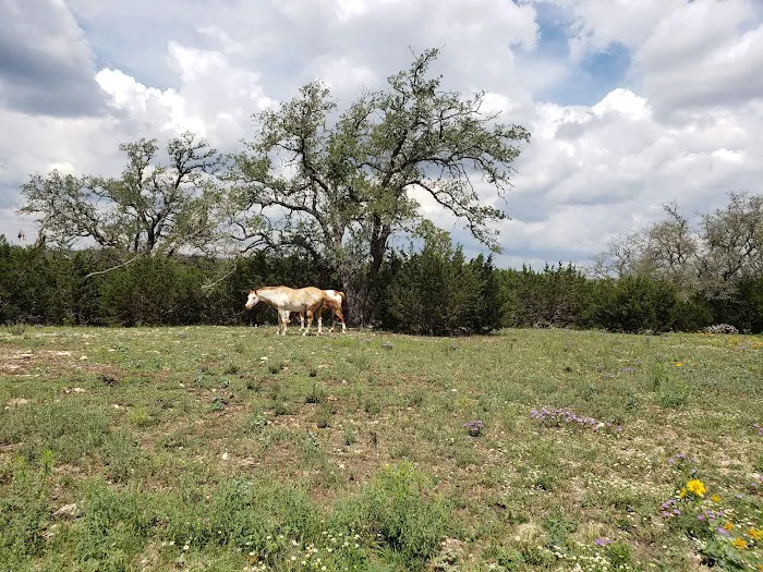 AstroRetreat Picture 3