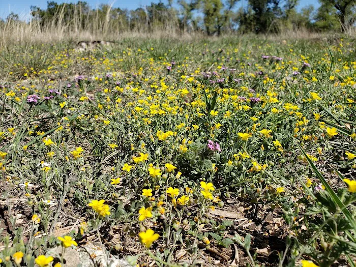 AstroRetreat Picture 2