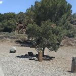 Camp Site #41 Arroyo Campground