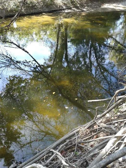 Church of Christ Campground Picture 1