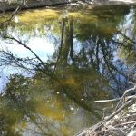 Church of Christ Campground