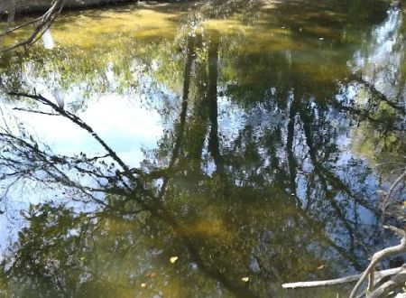 Church of Christ Campground