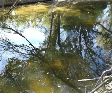 Church of Christ Campground