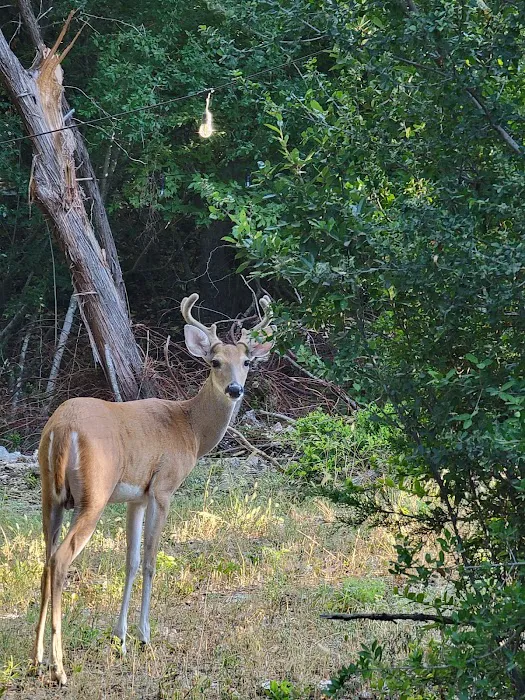 Nawnaws Place Picture 2