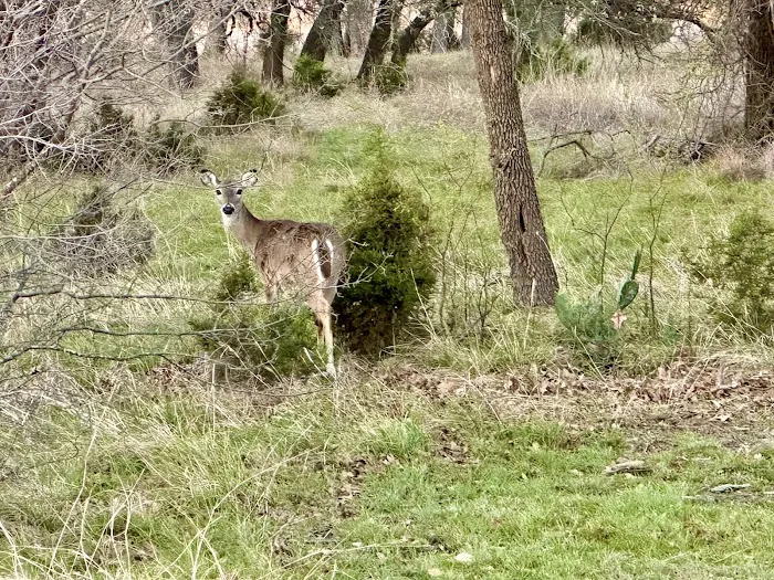 Union Grove Campground Picture 4