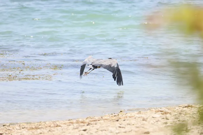 Stillhouse Picture 2