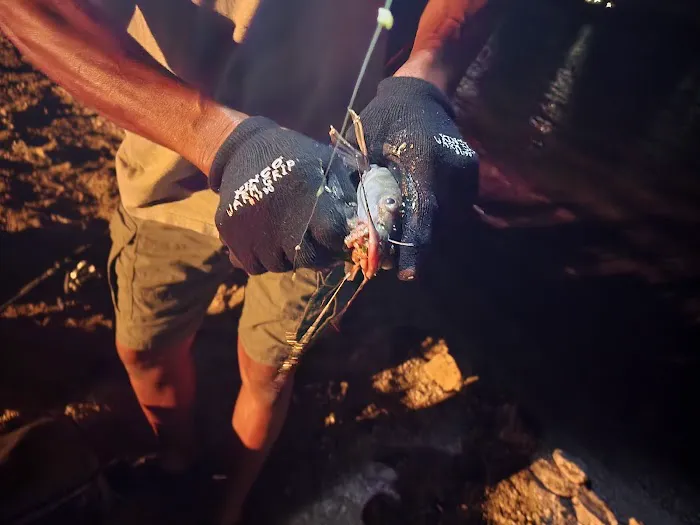 WESTCLIFF PARK Picture 6