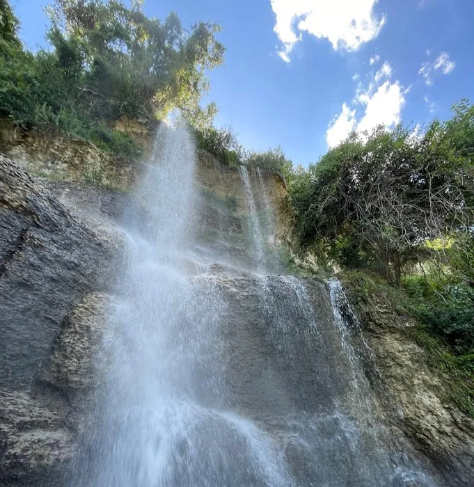 WESTCLIFF PARK Picture 10