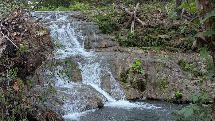 Camp Tahuaya: A Family Adventure Campground Picture 9
