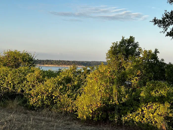 Live Oak Ridge Park Campground Picture 9