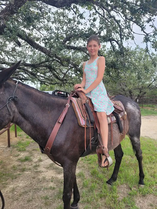 Parrie Haynes Equestrian Center Picture 3