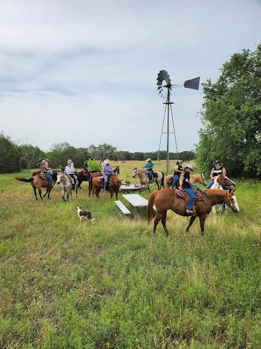 Parrie Haynes Equestrian Center Picture 4