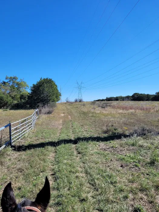 Parrie Haynes Equestrian Center Picture 7