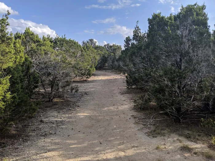 Parrie Haynes Equestrian Center Picture 10