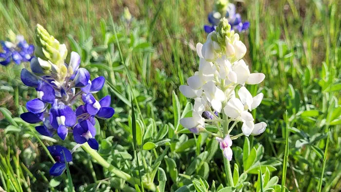 Nopali Gorge Ranch Picture 1