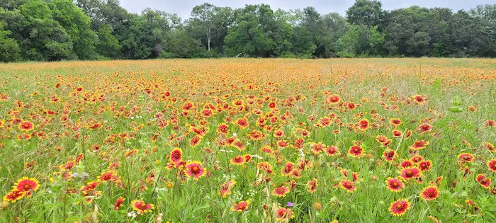 Nopali Gorge Ranch Picture 5
