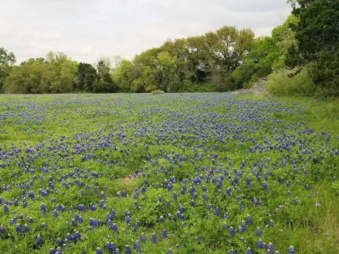 Nopali Gorge Ranch Picture 4