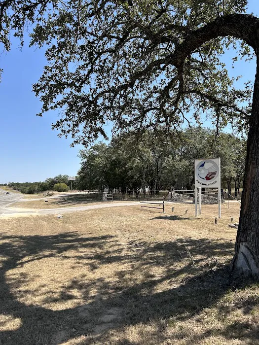 Armadilloasis Picture 1