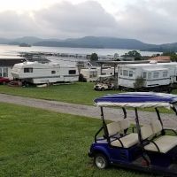 Greenlee of May Springs ico