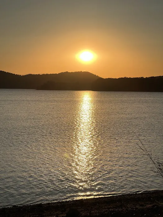 Greenlee of May Springs Picture 3