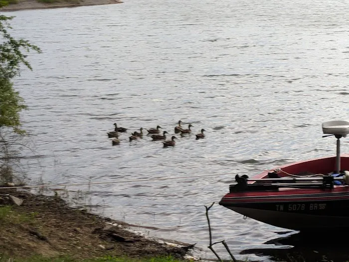 Greenlee of May Springs Picture 7