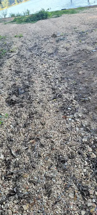 Greenlee of May Springs Picture 10