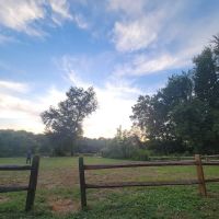 Woods Ferry Recreation Area ico