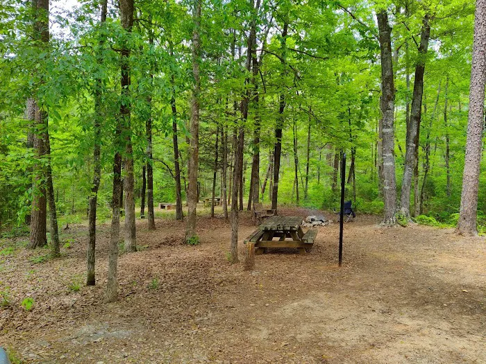 Woods Ferry Recreation Area Picture 4