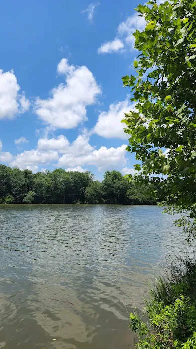 Woods Ferry Recreation Area Picture 5