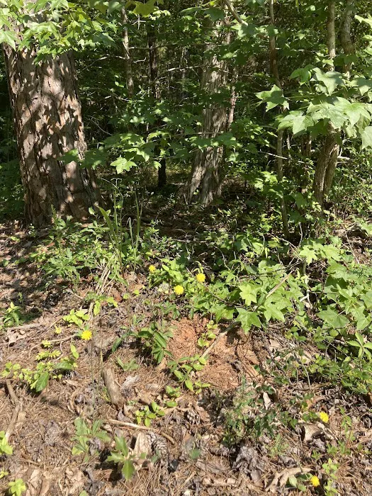 Woods Ferry Recreation Area Picture 7