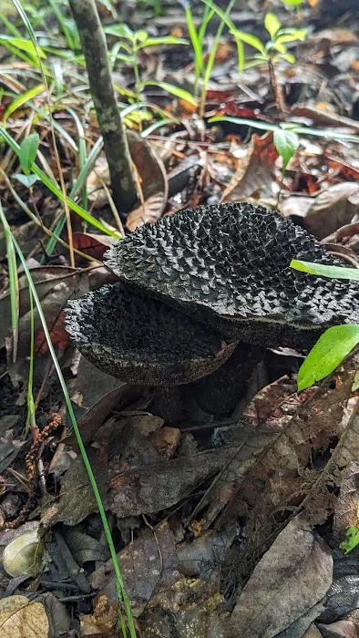 Woods Ferry Recreation Area Picture 9