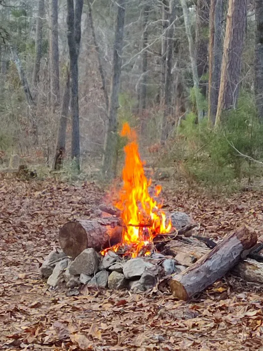 Woods Ferry Recreation Area Picture 8