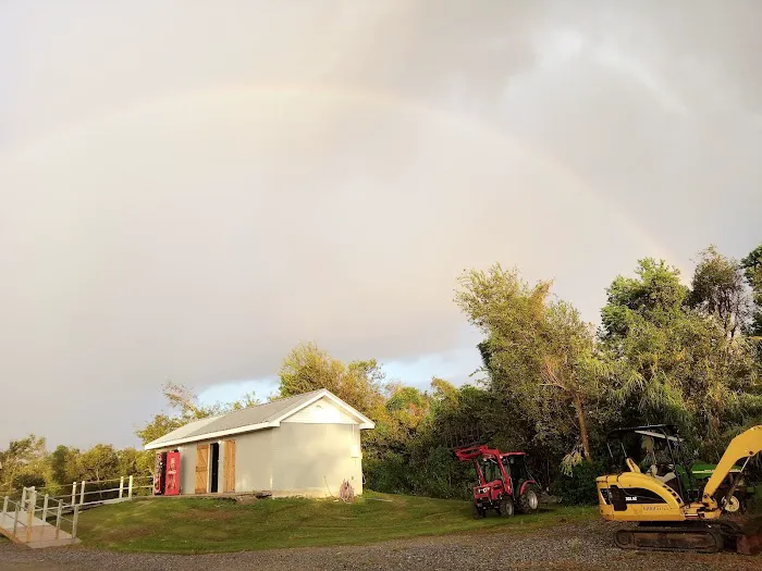 Bayou Resorts Campground & Cabins LLC Picture 6