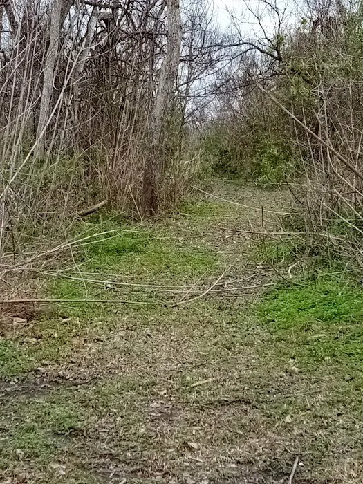 Bayou Resorts Campground & Cabins LLC Picture 8